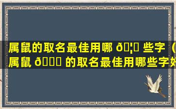 属鼠的取名最佳用哪 🦉 些字（属鼠 🐛 的取名最佳用哪些字好听）